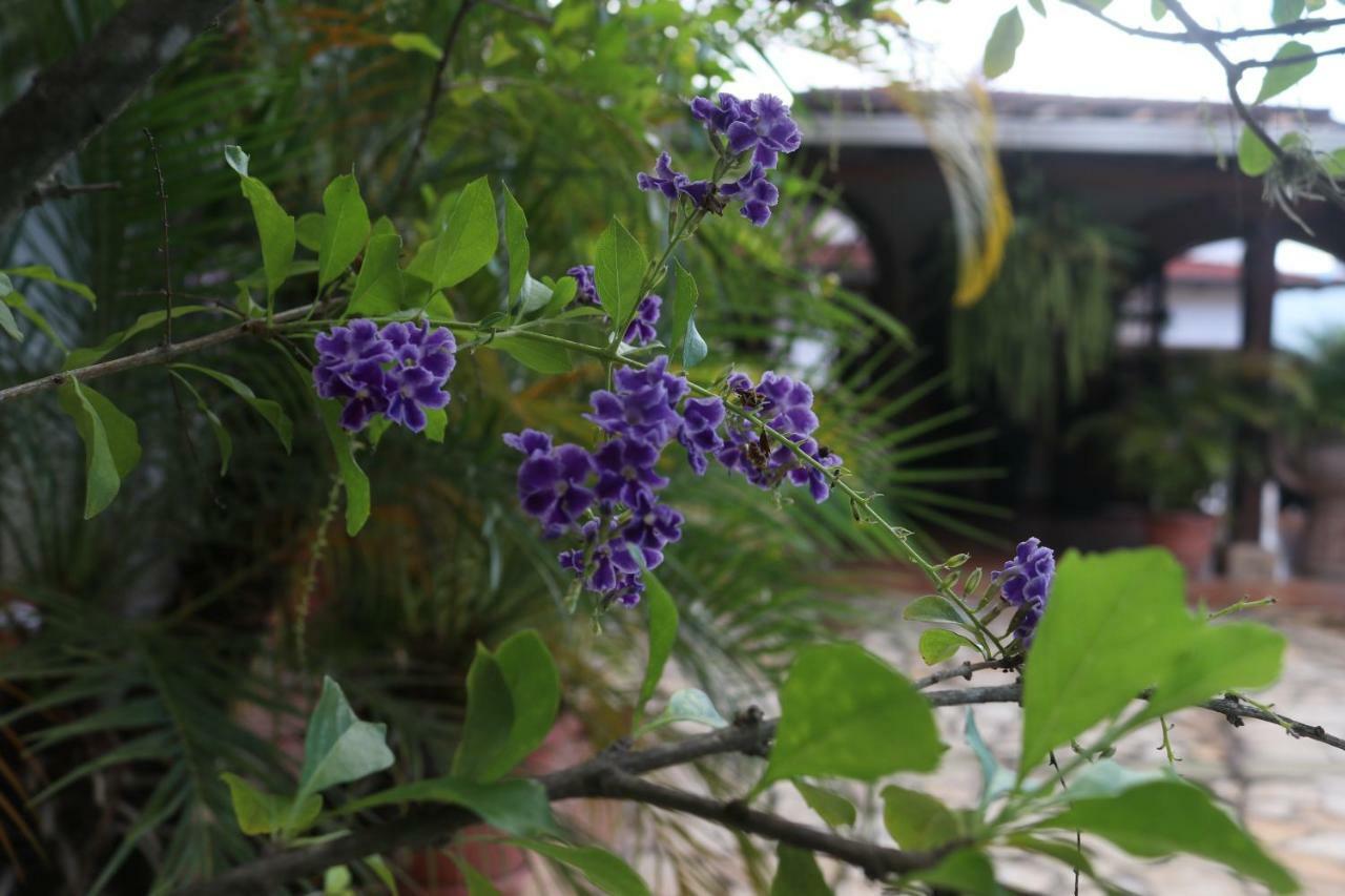 Hotel Buena Vista Copán Zewnętrze zdjęcie